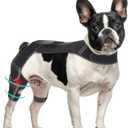 Dog Knee Brace with Vest, Support Dog Acl Brace Hind Leg Torn, Adjustable Dog Rear Leg Braces for Cruciate Ligament Injury, Joint Pain Relief and Arthritis (1, Single)