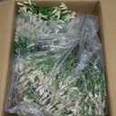Artificial Campanula with White Bellflower Garden Accents, Set of 2, 22 Inches with Metal Stands, Faux Ornamental Grass Decor for Outdoor Lawn & Patio