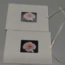 2 Pack Small Photo Album 4x6, Fabmaker Each Picture Album Holds 24 Horizontal Photos, Linen Cover Picture Photo Book with Front Window, Mini Brag Books for 4x6 Pictures, Artwork or Postcards Storage (Cream)