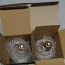 MIXJOY 150W Reptile Heat Lamp Bulbs, 2Pack Heat Lamp Bulbs for Reptiles Basking Bulbs UVA Daylight Basking Light Amphibians Heating Lamp Emitter for Lizard, Tortoise, Bearded Dragon Gecko, Chicken