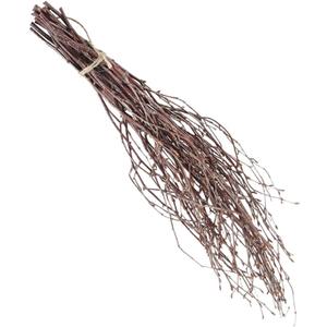 PRETYZOOM 10pcs DIY Home Decor Birch Branches Dry Wooden Sticks Versatile for Decor Wreath Making