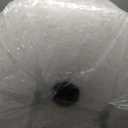 Amazon Basics Perforated Bubble Cushioning Wrap - Medium 5/16", 24-Inch x 100-Foot Long Roll, Clear