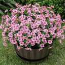 Lnoicy 20 Bundles Artificial Flowers for Outdoor Fake Plants for Spring Decoration,Faux Eucalyptus Flowers for Planter UV Resistant Lifelike for Home Porch Garden, Pink