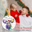 4 x Colorful Moose Christmas Ornaments 2025 - Animal Lovers Gifts for Women and Men, Unique Moose Gifts, Christmas Tree Deer Decor