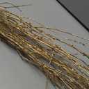 Branches for Vase, 3'4' Natural Birch Tree Branches for Decoration, Bundle of 10 Tall Decorative Sticks for Vases, Rustic Wood Branches for Crafts, Weddings, Seasonal & Home Décor - Gold