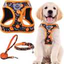 PUPTECK Adjustable Dog Harness Collar and Leash Set Step in No Pull Pet Harness for Small Medium Dogs Puppy and Cats Outdoor Walking Running, Soft Mesh Padded Reflective Vest Harnesses, Halloween, Medium