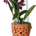 Terracotta Rocket Shaped Orchid Pot with Holes for Small Plants, Hanging Clay Orchid Planters for Outdoors (Set of 1)