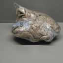 Tefici Electric Heated Blanket Throw, Super Cozy Soft 2-Layer Flannel 50" x 60" Heated Throw with 3 Heating Levels & 4 Hours Auto Off, Machine Washable, ETL&FCC Certified, Home Office Use, Camel