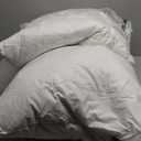 MIULEE 22x22 Pillow Inserts,Set of 2 Down Feather Throw Pillows for Couch Sofa Bed, Decorative Fluffy Throw Pillow Inserts Cotton Fabric,White