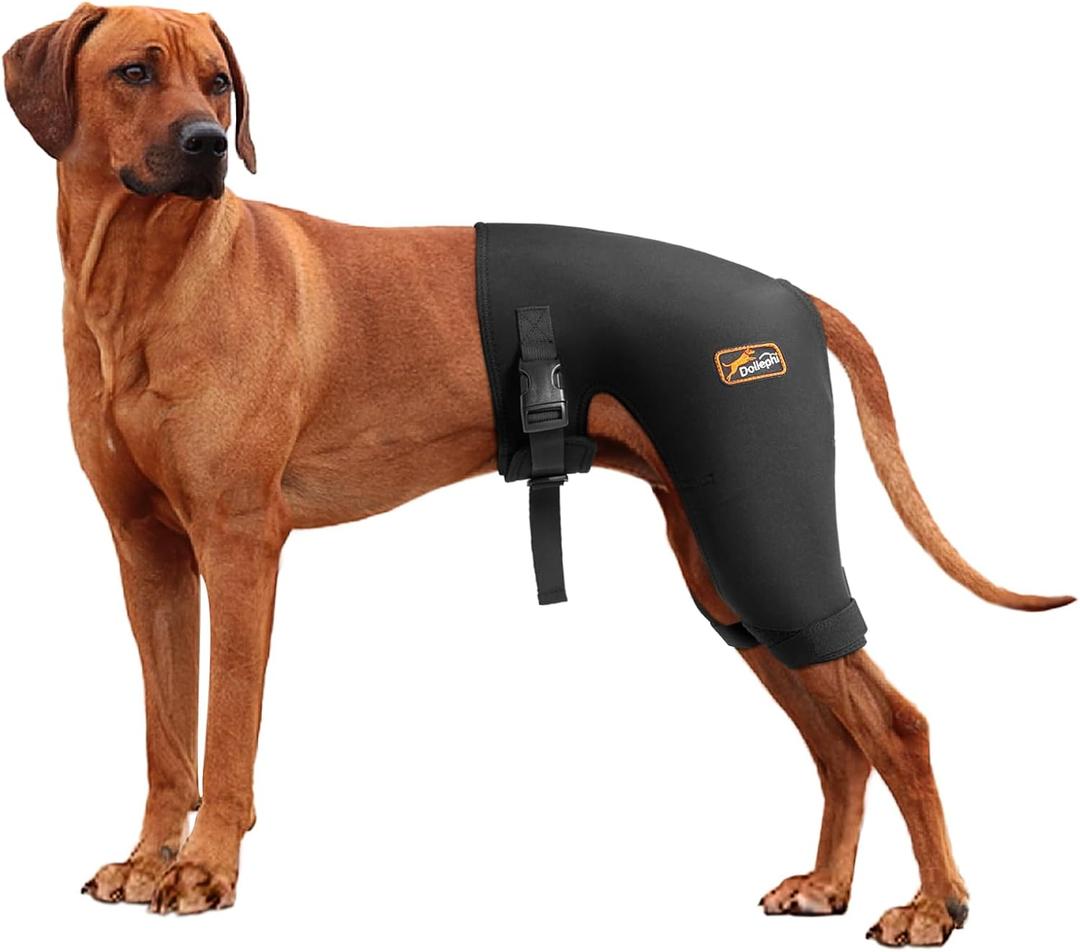 Dog Hip Brace with Hot/Cold Compress, Support for Hip Dysplasia, Arthritis, Back Leg limping, Prevents Hip Joint Issues, Reduce Hip Pain etc(Female Dog, XL)