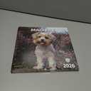 3 x windrio 2026 Wall Calendar, Calendar 2026, July 2025 - December 2026, Wall Calendar Maltese, 12" x 24" Opened,Full Page Months Thick & Sturdy Paper for Calendar Organizing & Planning