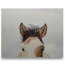 JLA ITS IN THE EYES CANVAS ART 20X22