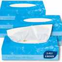 1InTheOffice Facial Tissue Paper, White Tissue, Flat Box with 100 Sheets, Soft 2-Ply, 6 Pack