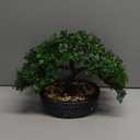 Artificial Bonsai Tree Juniper Faux Plants Indoor Small Fake Plants Decor with Ceramic Pots for Home Table Office Desk Bathroom Shelf Bedroom Living Room Farmhouse Decorations