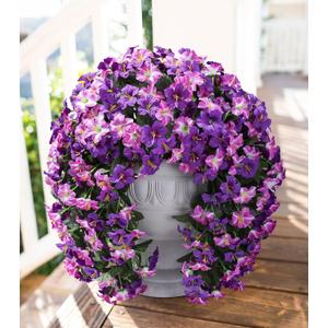 HyeFlora Artificial Flowers for Outdoors, 2pcs Faux Hanging Morning Glory Silk Fake Flowers Lifelike Artificial Plants UV Resistant Flowers for Outside Planter Patio Garden Porch Decor (Purple Red)