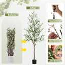 Olive Tree Artificial Indoor, 6 FT Faux Olive Trees with Planter, Fake Tall Plants with Natural Trunk and Lifelike Fruits for Home Office Decor(1, 6FT)