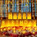 Happy Birthday Decorations for Women Men, Light Up Letters Luminary Bags with 30PC Bright LED Candles and 2000PC Fake Rose Petals, Surprise Birthday Party Banner Signs