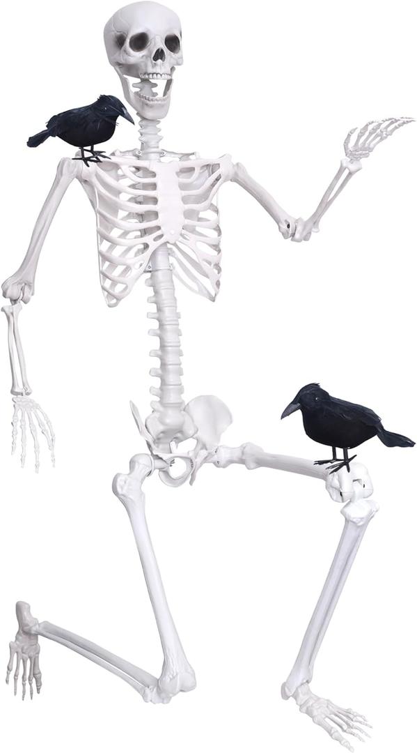Wocst 6Ft Life Size Skeleton Posable Skeleton with Movable Joints Halloween Full Body Plastic Human Bones with 2PCS Black Crows for Halloween Indoor Outdoor Decor