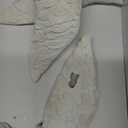 Bird Wall Sculptures Set of 3-3D Wall Art Decor for Living Room, Home Decor Modern GoldEN Wall Decor & Bird Gallery Wall Art (White)