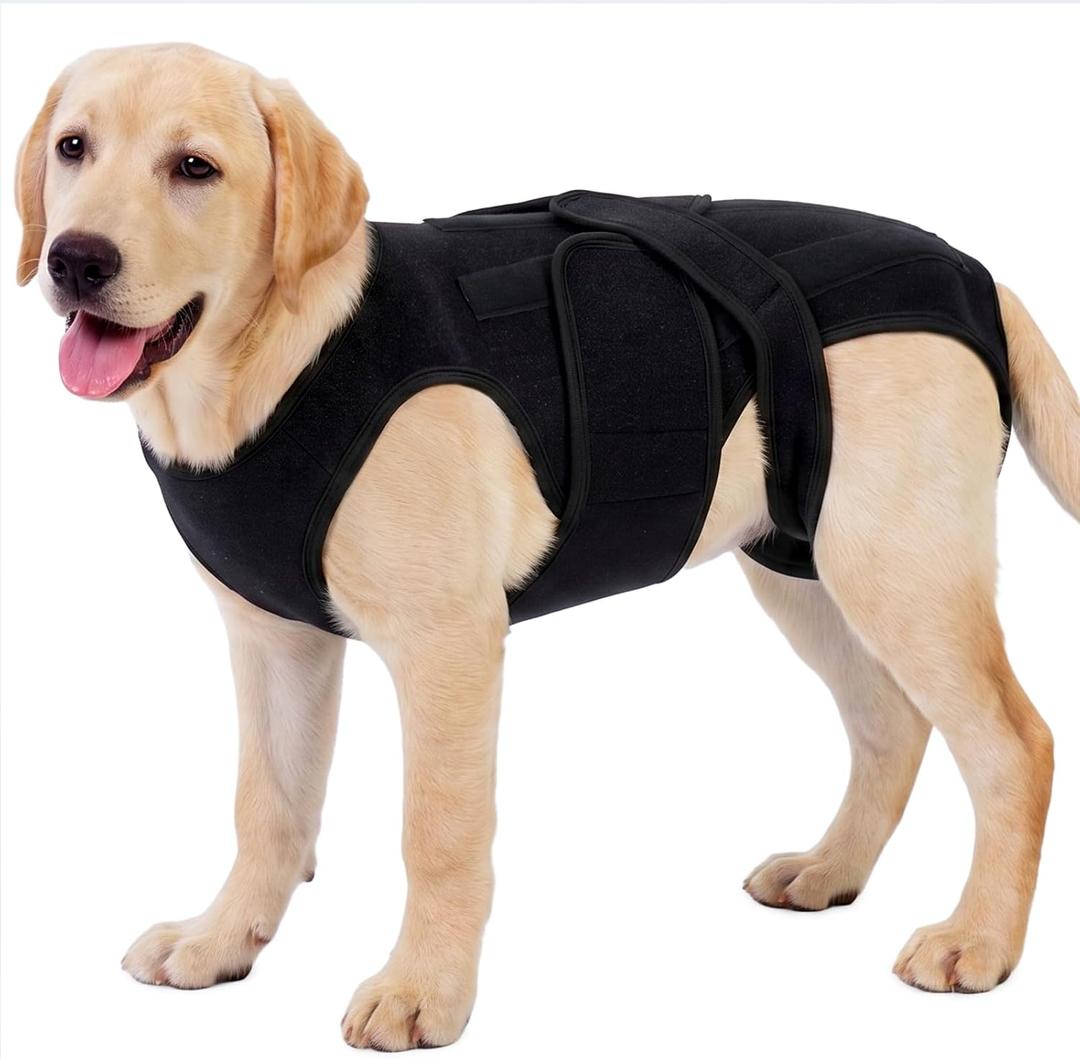 Dog Back Brace for IVDD & Spinal Recovery, Adjustable Breathable Support Vest Dog Lumbar Protector Helps Pain Relief, Pet Surgical Suit for Back Disease Prevention, Black 2XL (XX-Large)