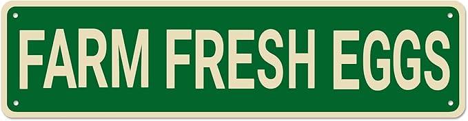 WHYATT Metal Tin Sign FARM FRESH EGGS Funny Vintage Sign Retro Metal Signs for Bedroom Kitchen Garden Wall Bar Club Coffee Home Decor 4x16 Inch 2 Pack