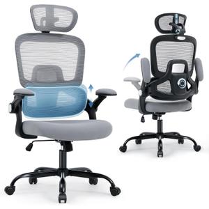 Office Chair with Adjustable Lumbar Support, Ergonomic Desk Chairs, Gray, Large