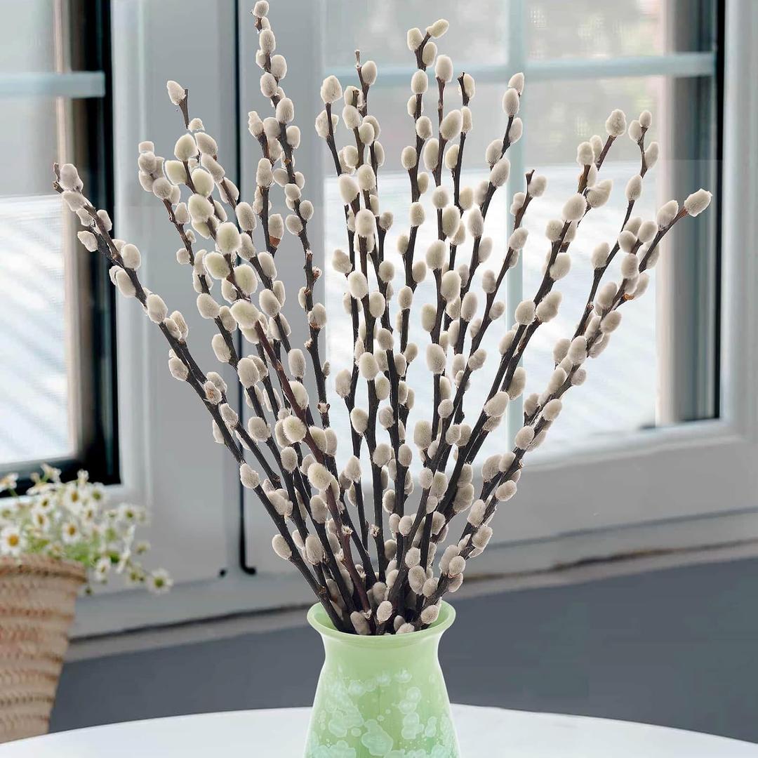 20 Stems Real Dried Pussywillow Preserved Greenery Branches for Vase- Natural Pussywillows with White Flowers, Snow Willow Branches for Easter Wedding Home Party Hotel Fireplace Yard Decor