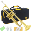 Trumpet Instrument,Band & Orchestra Musical Instruments for Beginners,With trumpets case,Mouthpiece,Cloth and Gloves (Golden)