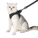 HEYWEAN Cat Harness and Leash - Ultra Light Escape Proof Kitten Collar Cat Walking Jacket with Running Cushioning Soft and Comfortable Suitable for Puppies Rabbits, L