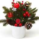12 Inch Tabletop Christmas Tree with White Ceramic Potted,Mini Christmas Tree Holiday Decorations with Apples Pine Cones Gold Xmas Ball Berries for Home Indoor Xmas Tabel Decor (Red and Green)