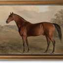 Gold Framed Wall Art Vintage Horse Canvas Art Farmhouse Animals Picture Wall Decor Antique Prints Rustic Paintings Country Artwork for Bedroom Bathroom Living Room 8x10 Inch