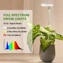 LBW Grow Light for Indoor Plants, Height Adjustable Plant Grow Lamp with Auto On/Off Timer 6/8/12/16H, 3 Colors,5 Dimmable Brightness, for Small Plants, White, 3 Packs