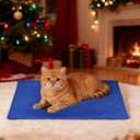 RIOGOO Pet Heating Pad, Electric Heating Pad for Dogs and Cats with Timer, 6 Level Adjustable Temperature Dog Heated Blanket (Blue, S: 20x15)