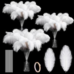 Tigeen 100 Set Ostrich Feathers Bulk 12-14 Inch,10-12 Inch 100 Natural Feathers for Vase with 100 Sticks and Tape Making Kit for DIY Wedding Floral Arrangement Party Centerpiece Decor(White)