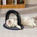 Hollypet Self Grooming Massager and Scratcher Toy - Cat Arch Brush for Back Grooming, Hair Cleaner Pads, Dark Gray