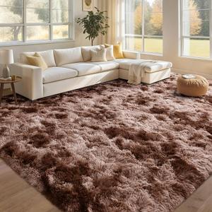 FinRec 6x9 Feet Brown Rugs for Living Room Bedroom, Large Plush Fluffy Shag Area Rug, Non-Slip Fuzzy Furry Shaggy Rug for Kids Room Dorm Room Home Decor, High Pile Soft Floor Carpet