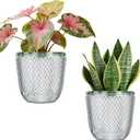 QCQHDU 2 Pack Self Watering Pots, 7.2 Inch Flower Pots with Drainage Holes and Water Filling Port, Plastic Garden Planter for Indoor Outdoor Plants (Clear)