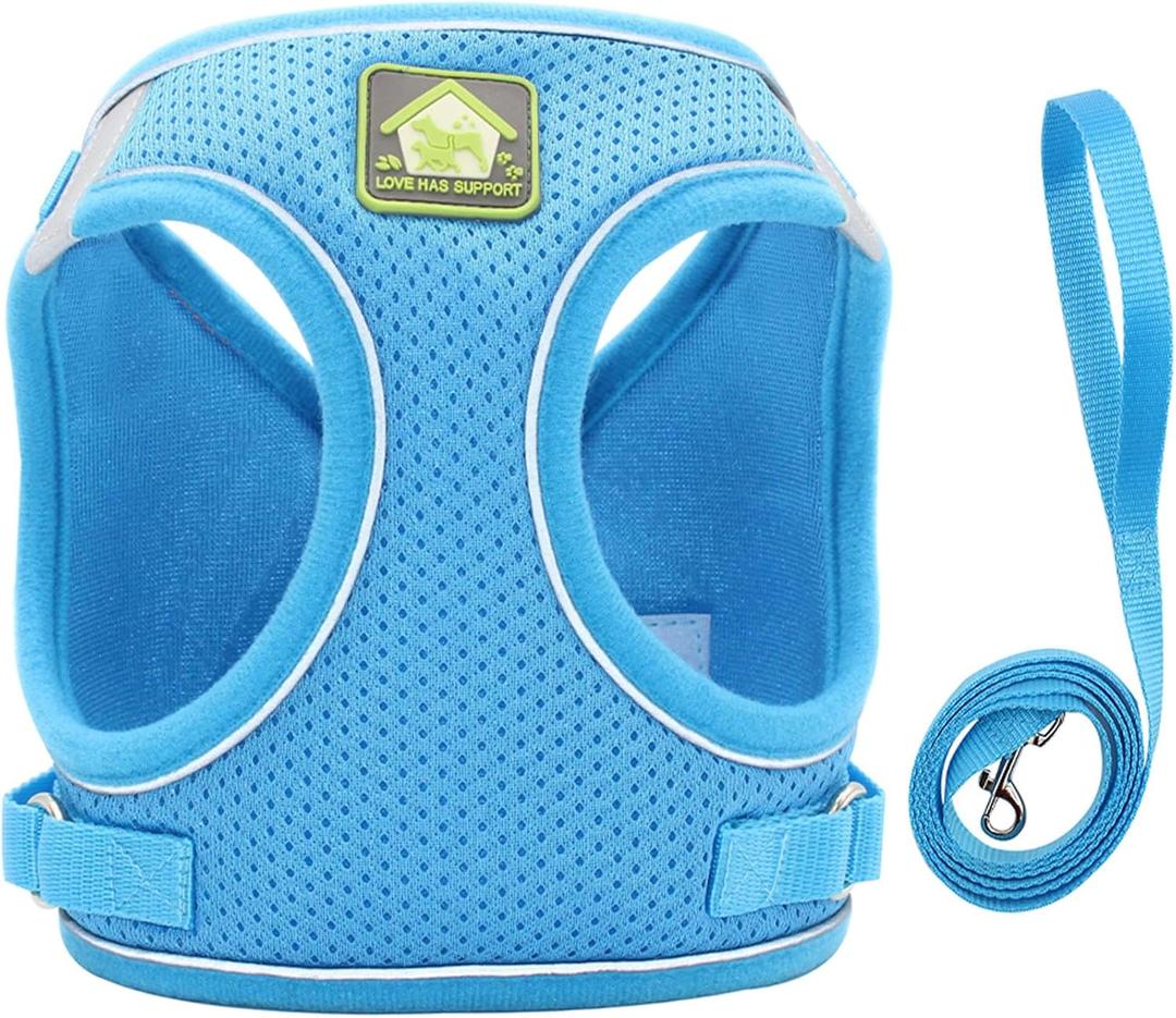 Dog Harness with Leash Set, No Pull Adjustable Reflective Step-in Puppy Harness with Thickened Padded Vest for Extra-Small/Small Medium Dogs (Blue, Medium)