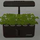 Ahopegarden Indoor Garden Hydroponics Growing System: 10 Pods Plant Germination Kit Herb Vegetable Growth Lamp Countertop with LED Grow Light  Hydrophonic Planter Grower Harvest Lettuce