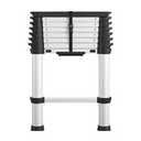 cosco telescopic ladder