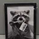 Raccoon Bathroom Art Wall Decor Black And White Animal Picture Funny Raccoon Brushing Teeth Art Farmhouse Framed Prints Painting (10"L x 8"W, JK0301)