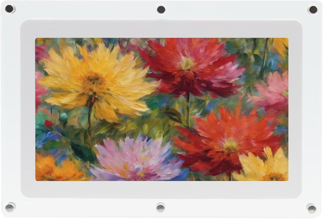 Canvia Kinetic Digital Art Frame - Smart Picture Frame to Play Full HD Video, Photo, or Images on Loop - Acrylic Frame, 4 GB Memory with Battery (10F)