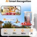 Smart Hummingbird Feeder Camera with AI Identification, 2.5K HD & Color Night Vision, Solar Powered Outdoor, IP66 Weatherproof Garden Decor