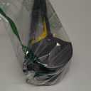 Pooper Scooper for Large Small Dogs, Folding Dog Poop Scooper