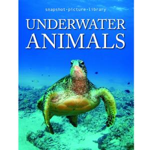 Snapshot Picture Library Underwater Animals