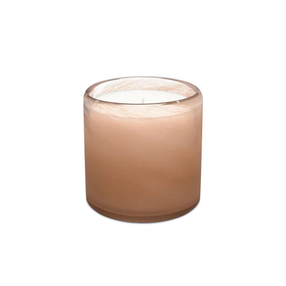 Scented Candle Cinnamon Brown Sugar 12 Oz