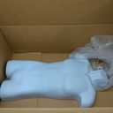 SSWBasics Male Molded Shatterproof White Shapely Torso Form with Hook - Fits Men's Sizes