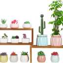 5 Tiered Small Window Plant Shelf,Wooden Desktop Plant Stand Indoor ,Table Top Plants Shelves,Window Sill Shelf for Plants Lovers,Succulent, Countertop Plant Rack Holder