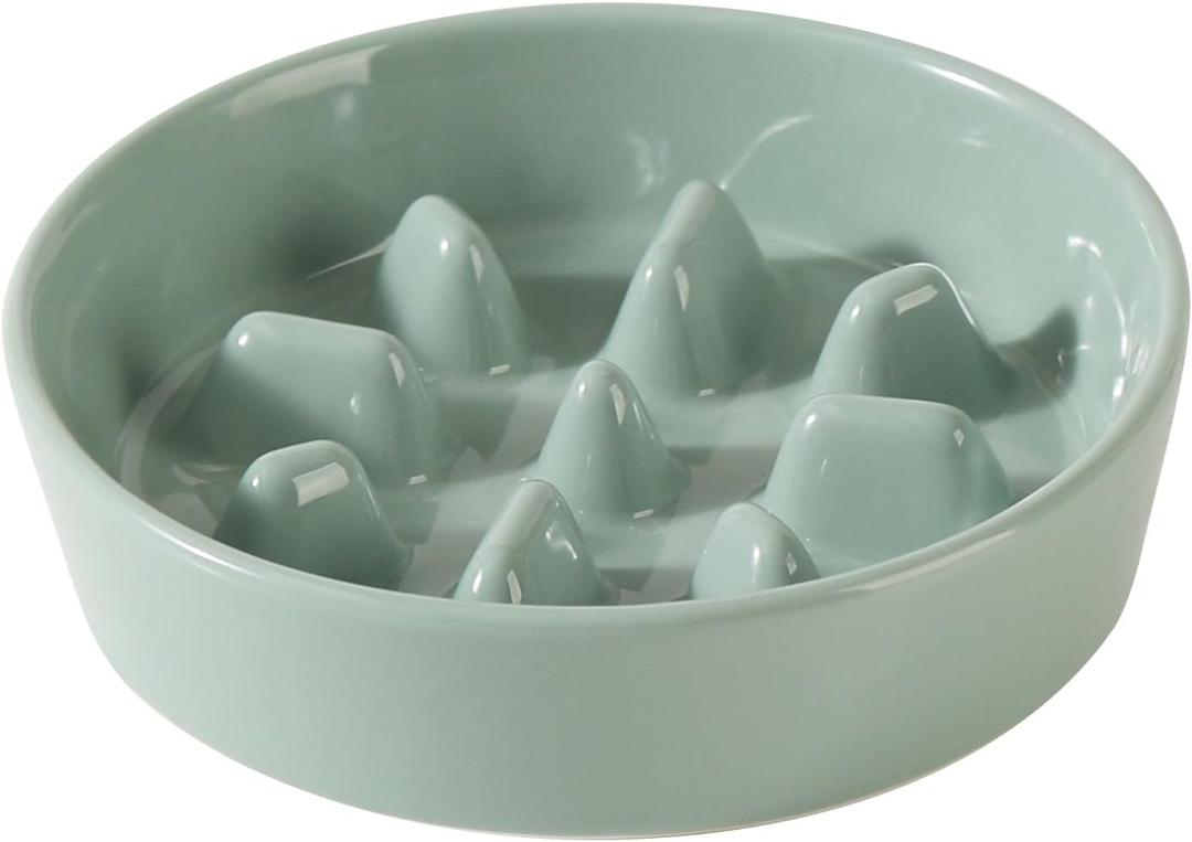 Havniva Ceramic 0.9 Cup Dog Bowl Slow Feeder, 6.1inch Slow Pet Food Dish for Small Dog and Cat, Stop Bloat, Preventing Choking(Single Bowl, Light Green)