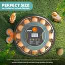 Egg Incubators for Hatching Eggs, Egg Incubator with Automatic Egg Turning and Humidity Control and Temperature Control, 18~36 Eggs Incubator for Chicken & Quail
